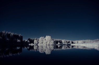 beyaz bitkiler ve mavi gökyüzü ile gölün tonlu görüntüsü 