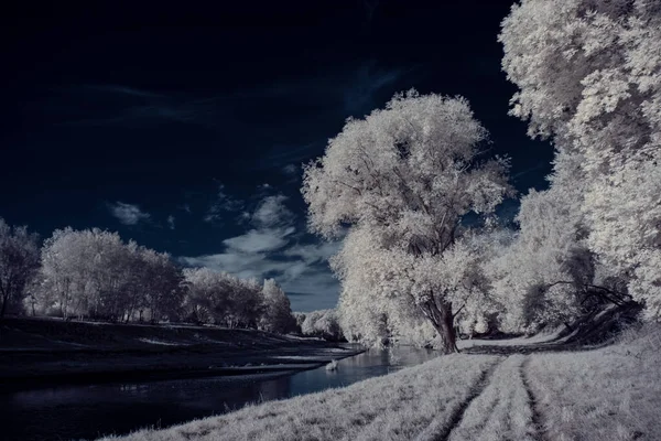 Plano Tonificado Paisaje Con Río Cielo Azul Plantas Blancas —  Fotos de Stock