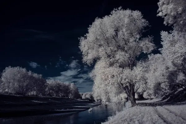 Тонований Знімок Пейзажу Річкою Блакитним Небом Білими Рослинами — стокове фото