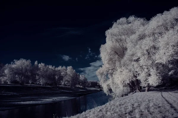 Nehir Mavi Gökyüzü Beyaz Bitkilerle Donatılmış Manzara Görüntüsü — Stok fotoğraf