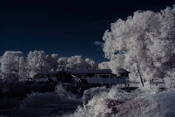 Fotografia Podczerwona Zdjęcie Krajobrazu Drzewem Pod Niebem Chmurami Sztuka Naszego — Zdjęcie stockowe