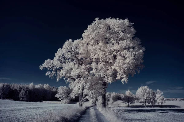 Getönte Aufnahme Von Landschaft Mit Straße Mit Blauem Himmel Und — Stockfoto