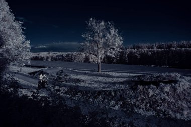 mavi gökyüzü ve beyaz bitkilerle dolu sade bir manzara.