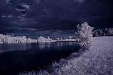 Göl, mavi gökyüzü ve beyaz bitkilerle donatılmış manzara görüntüsü.