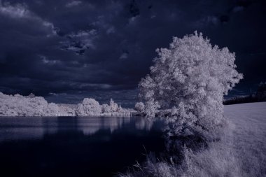 Göl, mavi gökyüzü ve beyaz bitkilerle donatılmış manzara görüntüsü.