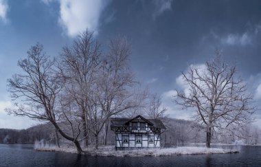 Kızılötesi fotoğrafçılık - gökyüzü altında bulutlu ağaç bulunan manzaranın fotoğrafı - dünyamızın sanatı ve kızılötesi kamera spektrumundaki bitkiler