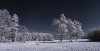 mavi gökyüzü ve beyaz bitkilerle dolu sade bir manzara.