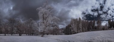 mavi gökyüzü ve beyaz bitkilerle dolu sade bir manzara.