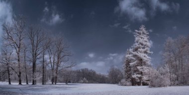 mavi gökyüzü ve beyaz bitkilerle dolu sade bir manzara.