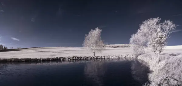 Тонований Знімок Пейзажу Озером Блакитним Небом Білими Рослинами — стокове фото
