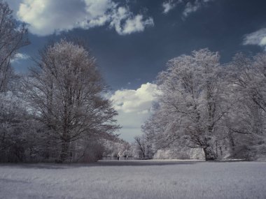 mavi bulutlu gökyüzü ile sade manzaranın tonlu görüntüsü