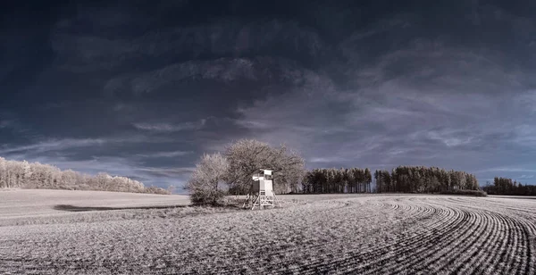 青空が広がる平原風景のトーンショット — ストック写真