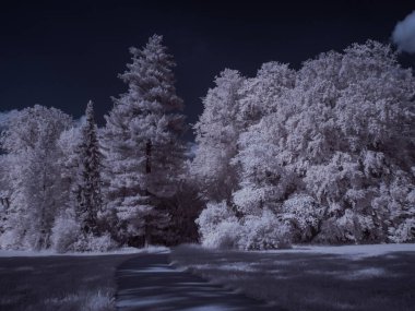 mavi gökyüzü ve beyaz bitkilerle dolu sade bir manzara.