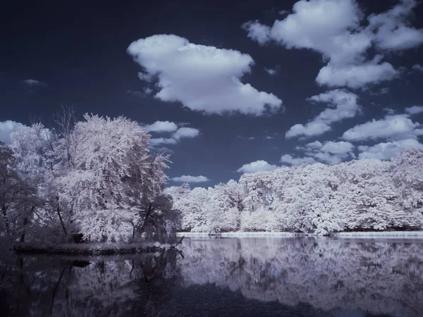 Toned Shot Lake White Plants Blue Cloudy Sky — Stock Photo, Image