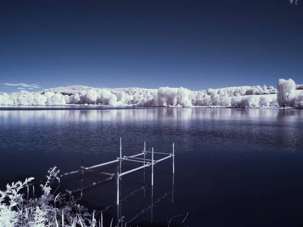 Τονισμένη Βολή Της Λίμνης Λευκά Φυτά Και Μπλε Ουρανό — Φωτογραφία Αρχείου