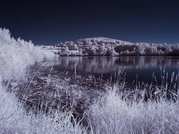 Plano Tonificado Lago Con Plantas Blancas Cielo Azul — Foto de Stock
