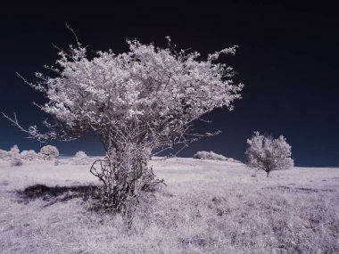 mavi gökyüzü ile sade manzaranın tonlu görüntüsü