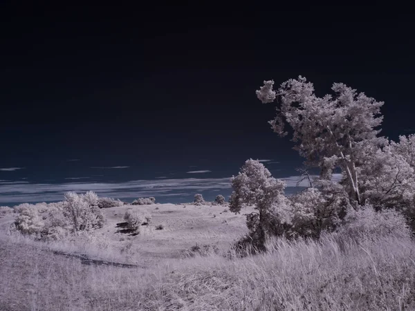 Foto Bernada Polos Lanskap Dengan Langit Biru Dan Tanaman Putih — Stok Foto