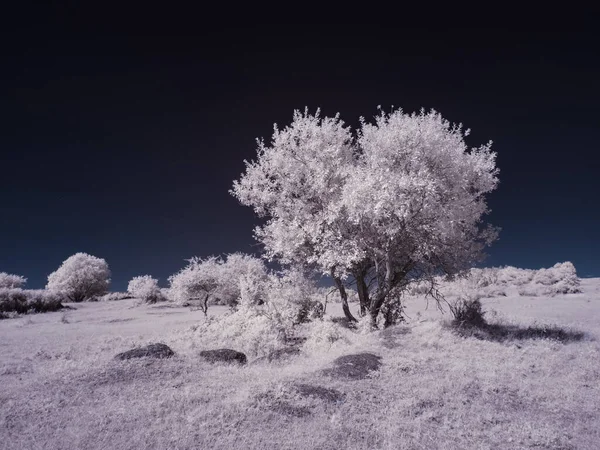 Plano Tonificado Paisaje Llano Con Cielo Azul — Foto de Stock