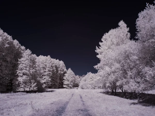 Plano Tonificado Paisaje Llano Con Cielo Azul — Foto de Stock