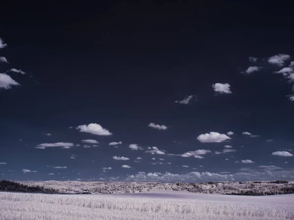 Tiro Tonificado Paisagem Lisa Com Céu Azul Plantas Brancas — Fotografia de Stock