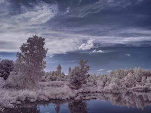 Monochrome Toned Shot Lake Trees Cloudy Sky — Stock Photo, Image