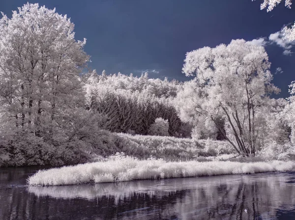 mavi gökyüzü ile sade manzaranın tonlu görüntüsü