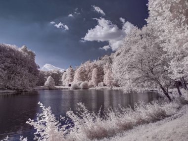Tek renkli gölün tek renkli görüntüsü Ağaçlar ve bulutlu gökyüzü 