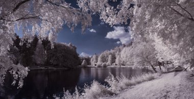 Tek renkli gölün tek renkli görüntüsü Ağaçlar ve bulutlu gökyüzü 