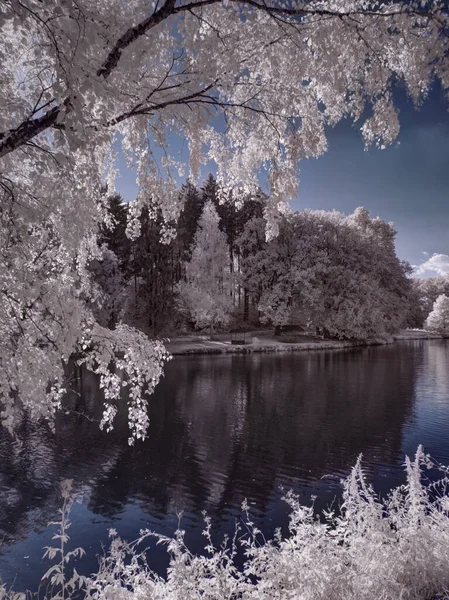 Monocromo Tonificado Disparo Lago Con Árboles Cielo Nublado — Foto de Stock