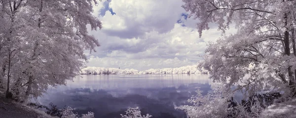 beyaz bitkiler ve mavi bulutlu gökyüzü 