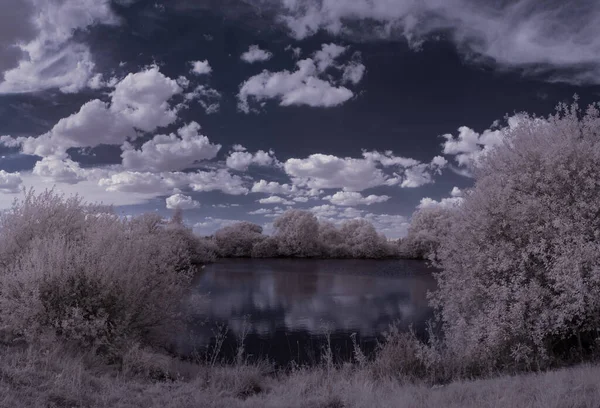 Toned Shot Lake White Plants Blue Cloudy Sky — Stock Photo, Image