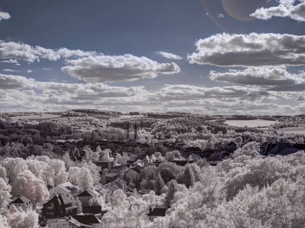 Plano Tonificado Paisaje Llano Con Cielo Azul Plantas Blancas — Foto de Stock