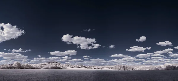 Tiro Tonificado Paisagem Lisa Com Céu Azul Plantas Brancas — Fotografia de Stock