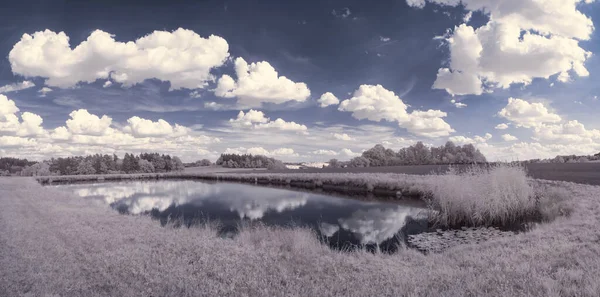 Tiro Tonificado Monocromático Lago Com Árvores Céu Nublado — Fotografia de Stock
