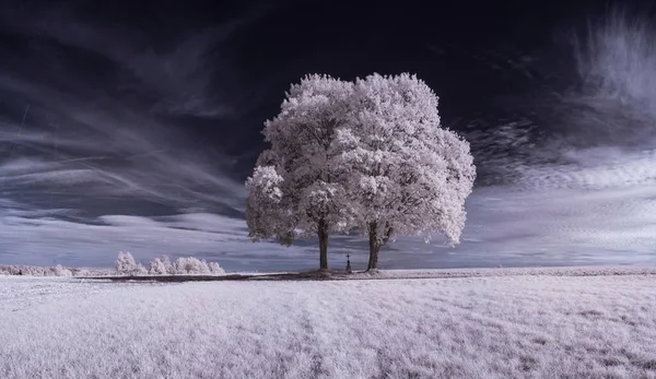 Getönte Aufnahme Einer Flachen Landschaft Mit Blauem Himmel Und Weißen — Stockfoto