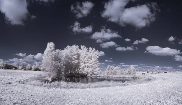 Tiro Tonificado Paisagem Lisa Com Céu Azul Plantas Brancas — Fotografia de Stock