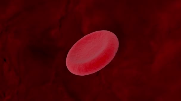 Células Vermelhas Sangue Gira Circulação Sanguínea Animação Loop — Vídeo de Stock