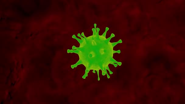 Virus Dreht Sich Schleife Animation — Stockvideo