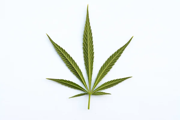 Grönt Cannabisblad Vit Bakgrund — Stockfoto