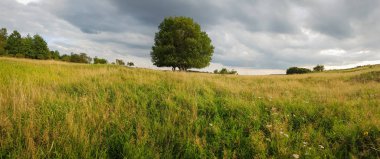 bulutlu bir gökyüzünün altındaki doğal manzara manzarası