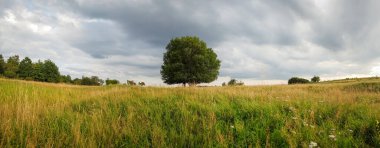 bulutlu bir gökyüzünün altındaki doğal manzara manzarası