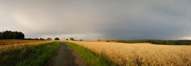 bulutlu bir gökyüzünün altındaki doğal manzara manzarası