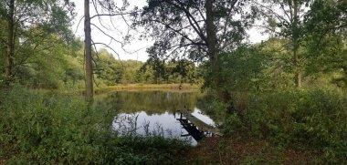 bulutlu bir gökyüzünün altındaki doğal manzara manzarası