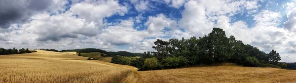 Vista Panorámica Del Campo Trigo Bajo Cielo Azul Con Sombra — Foto de Stock