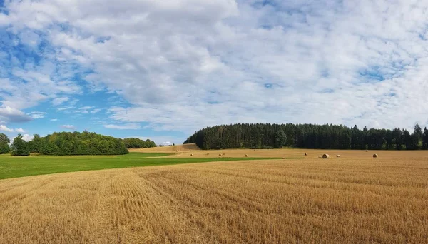 아래있는 밀밭의 경치와 인간의 그림자 — 스톡 사진