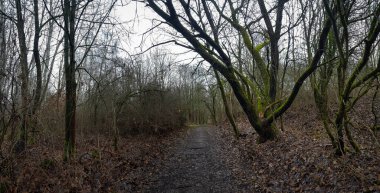 bulutlu bir gökyüzünün altındaki doğal manzara manzarası