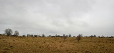 bulutlu bir gökyüzünün altındaki doğal manzara manzarası