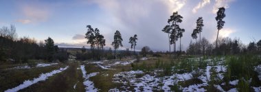 bulutlu bir gökyüzünün altındaki doğal manzara manzarası