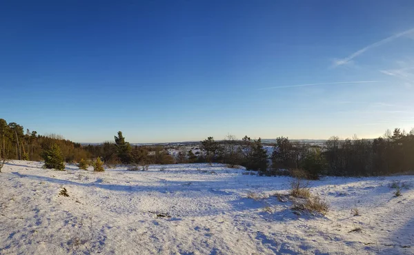 Vinterscen Med Snö Och Kvällssol — Stockfoto